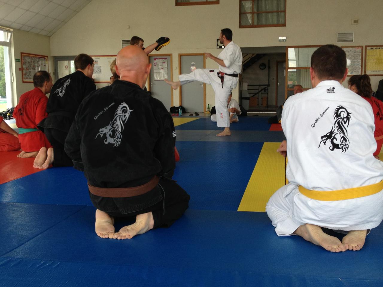 arts martiaux soufflenheim ju jitsu_2173