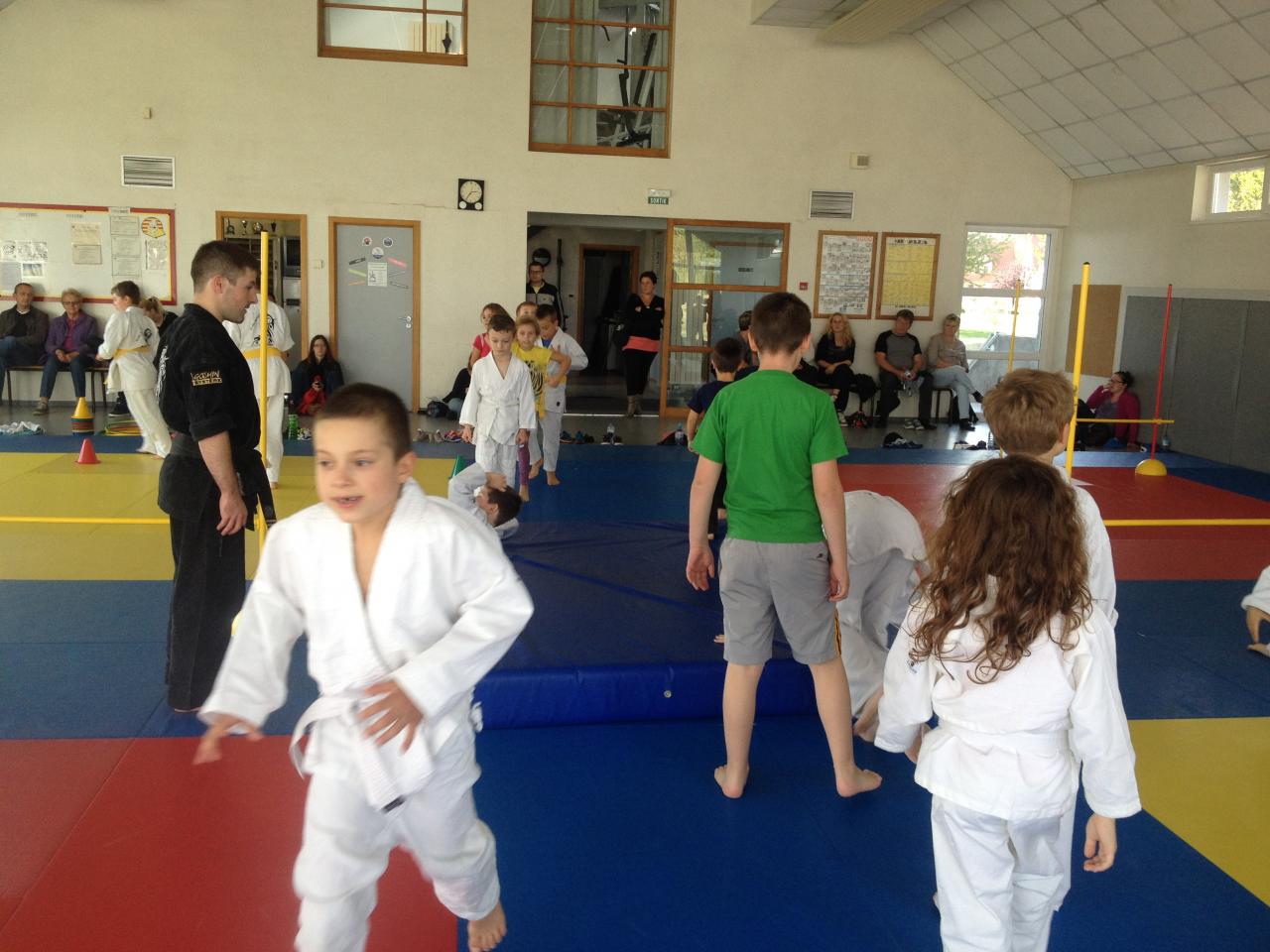 Arts martiaux Soufflenheim judo goshIMG_4769