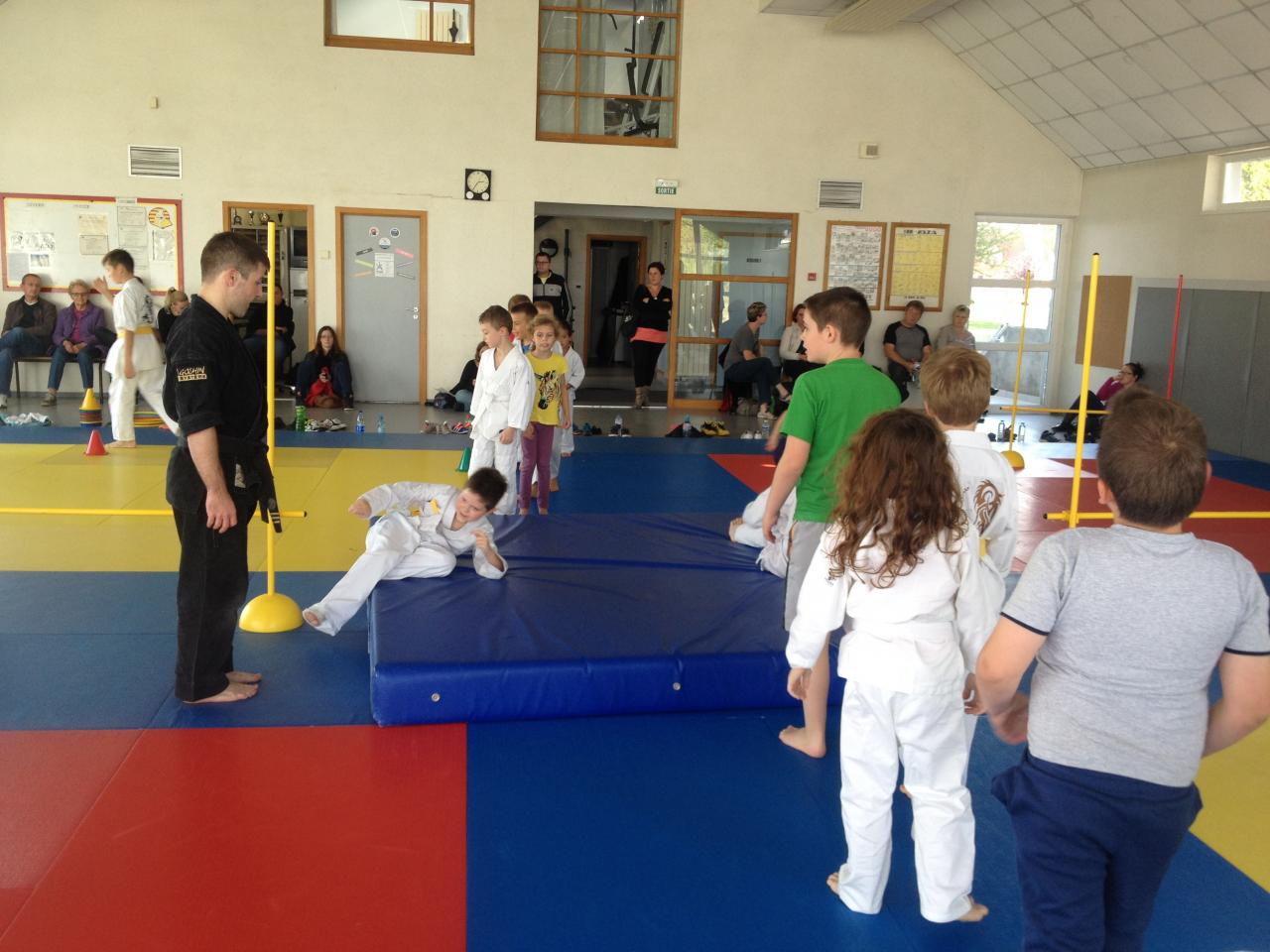 Arts martiaux Soufflenheim judo goshIMG_4770