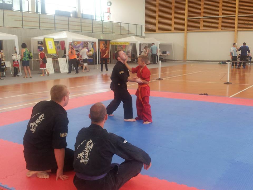 association sport arts martiaux soufflenheim 00