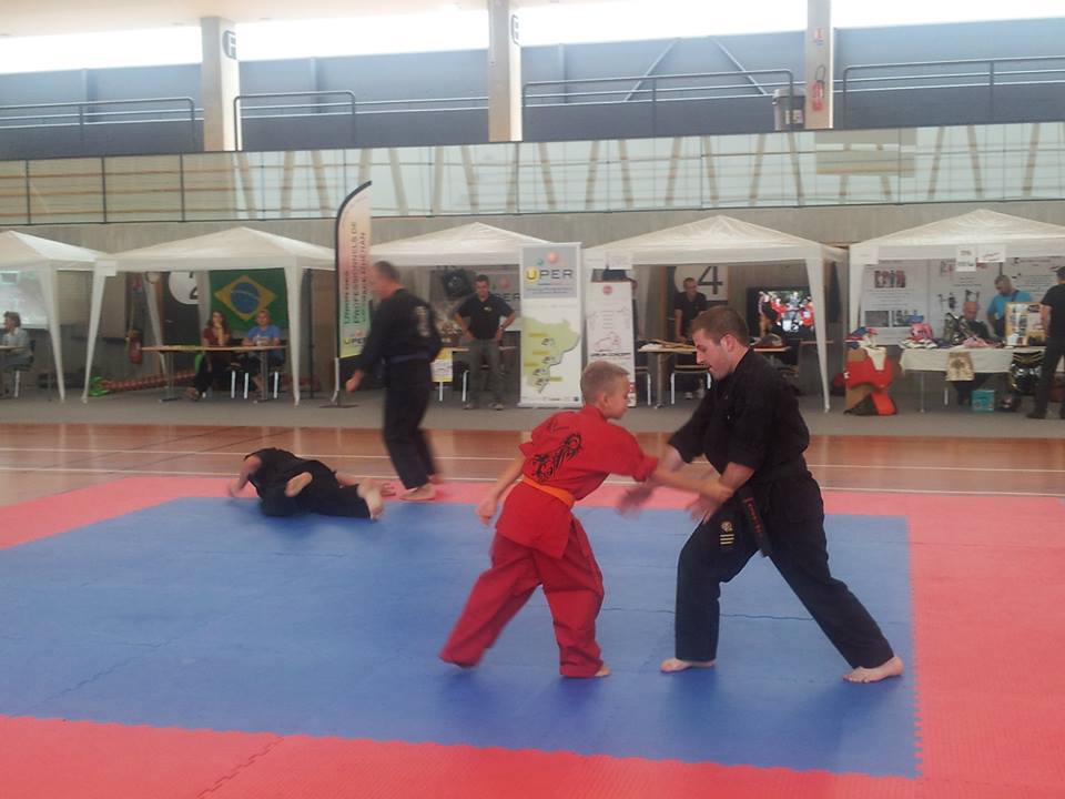association sport arts martiaux soufflenheim 04