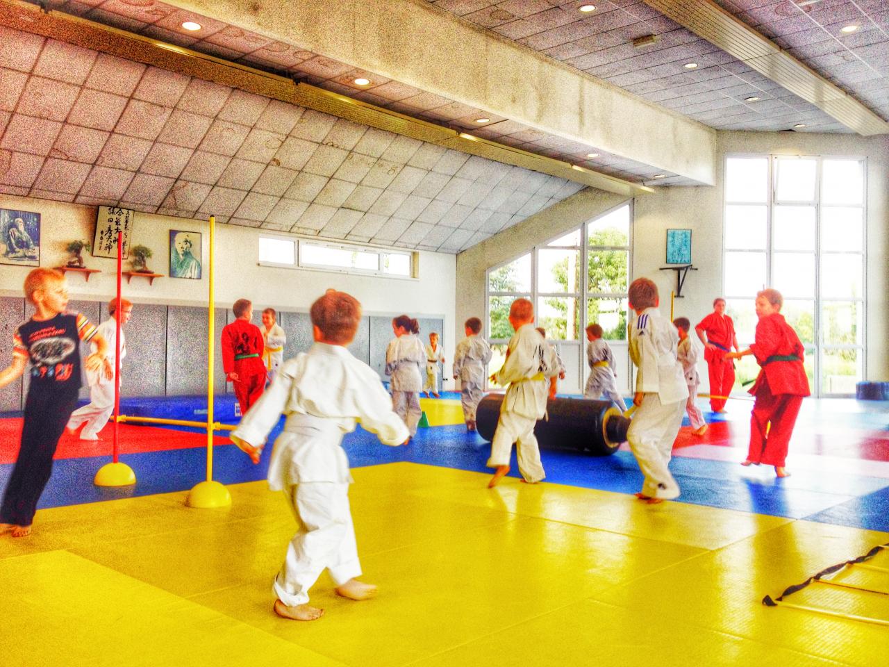 goshin judo aikido karate soufflenheim betschdorf 0