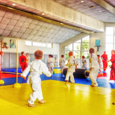 2014 10 04 cours Goshin enfants à Soufflenheim trampoline