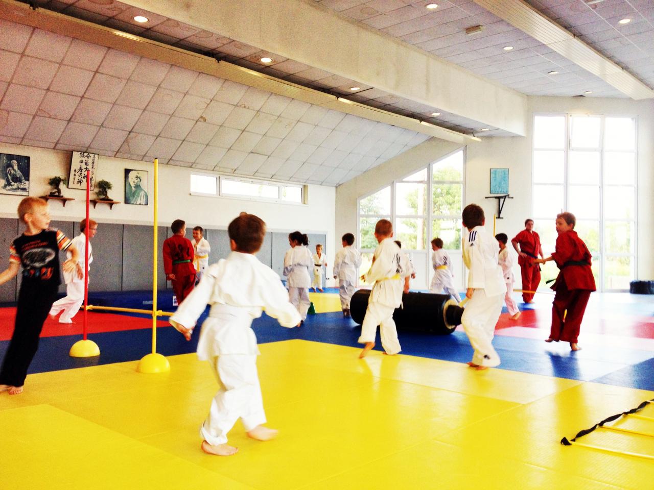 goshin judo aikido karate soufflenheim betschdorf 00