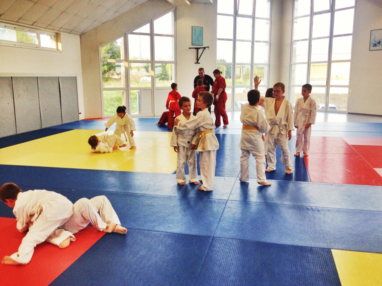 goshin judo aikido karate soufflenheim betschdorf 002
