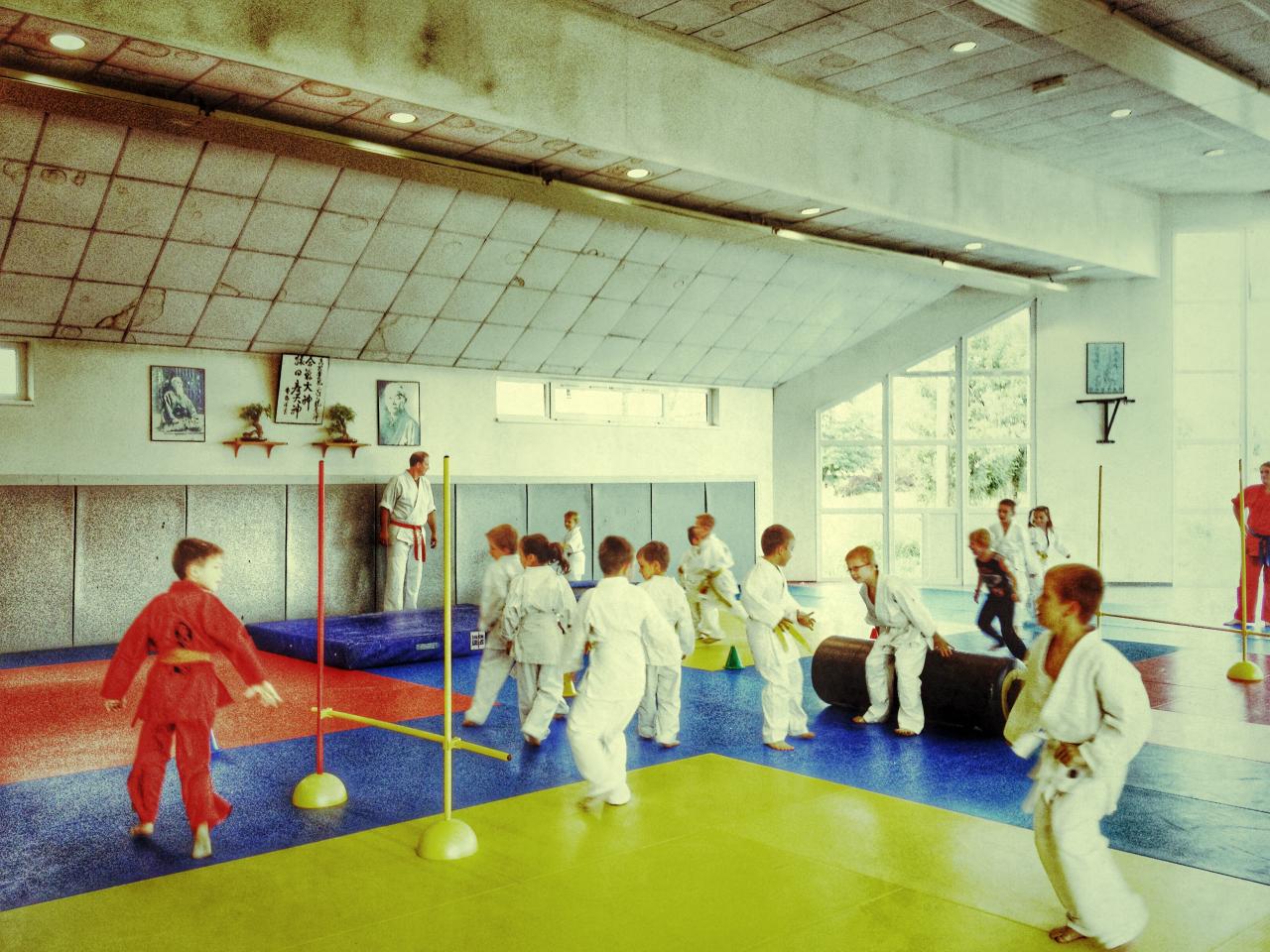 goshin judo aikido karate soufflenheim betschdorf 053