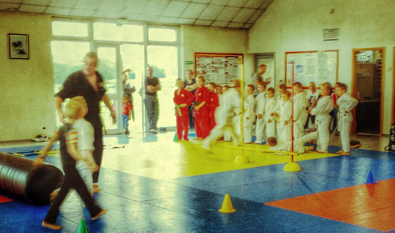goshin judo aikido karate soufflenheim betschdorf 055