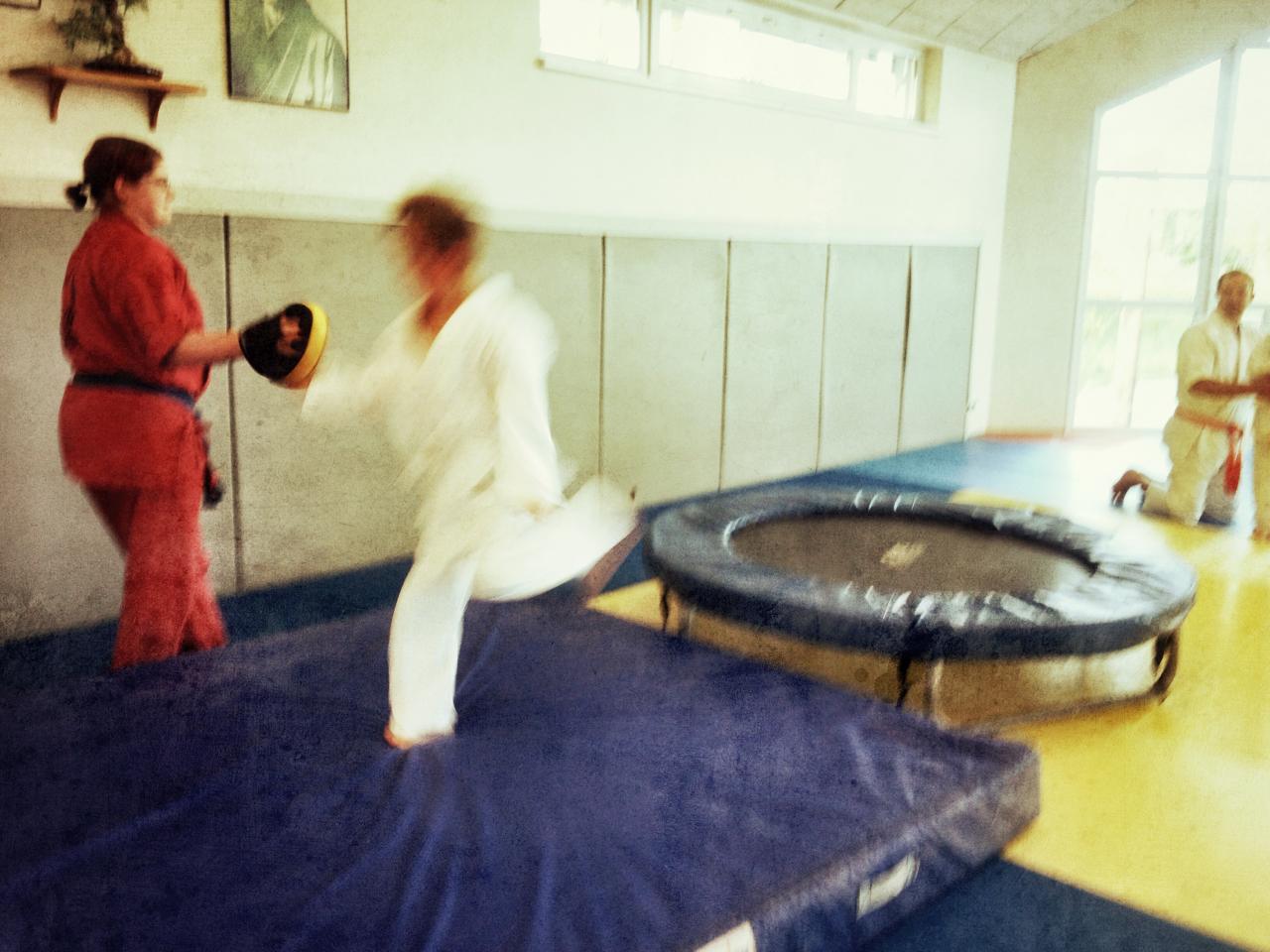 goshin judo aikido karate soufflenheim betschdorf 061