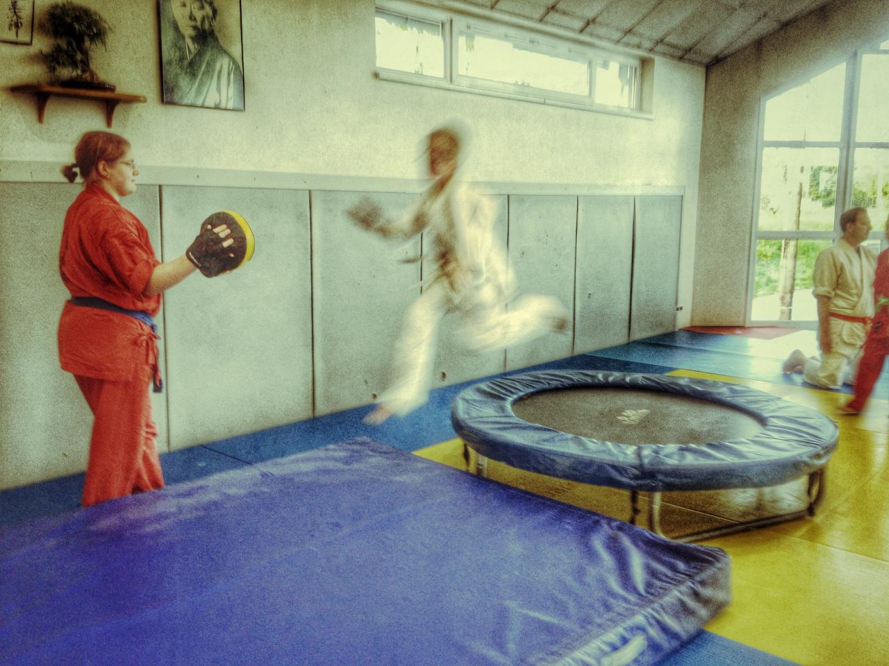 goshin judo aikido karate soufflenheim betschdorf 065