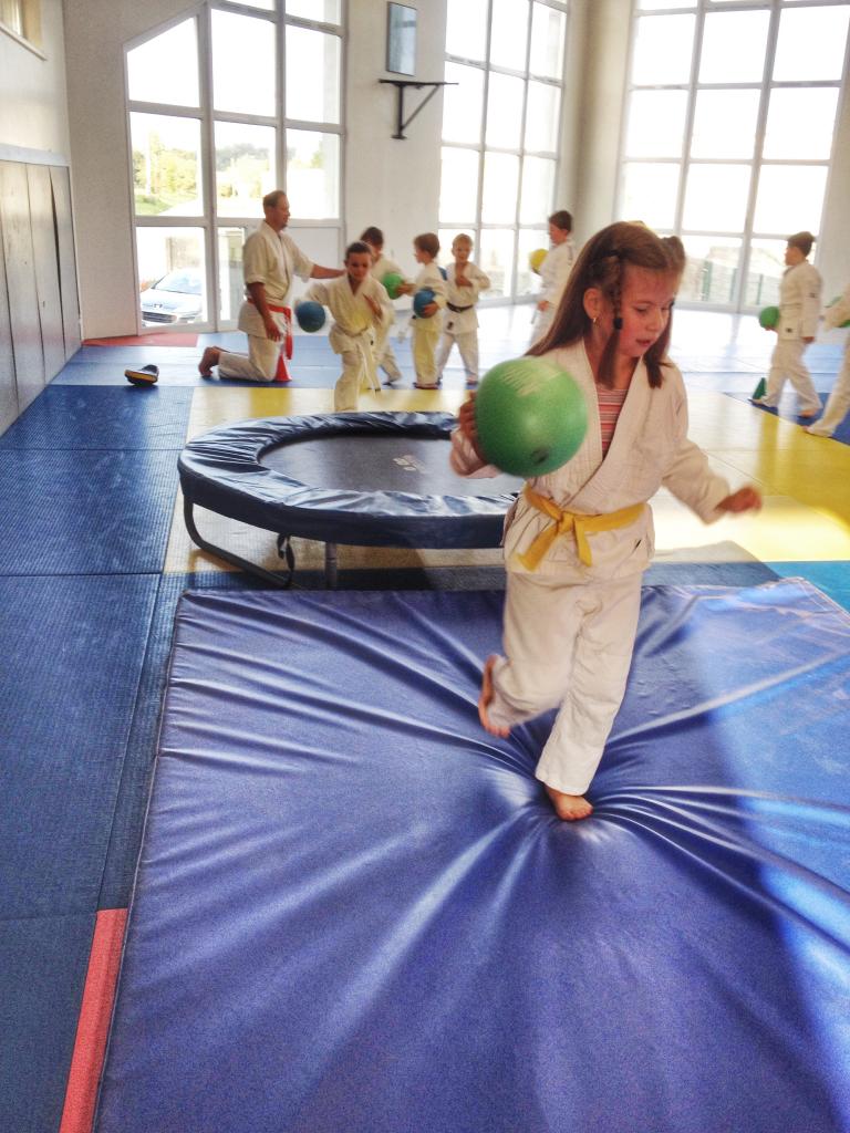 goshin judo aikido karate soufflenheim betschdorf 090