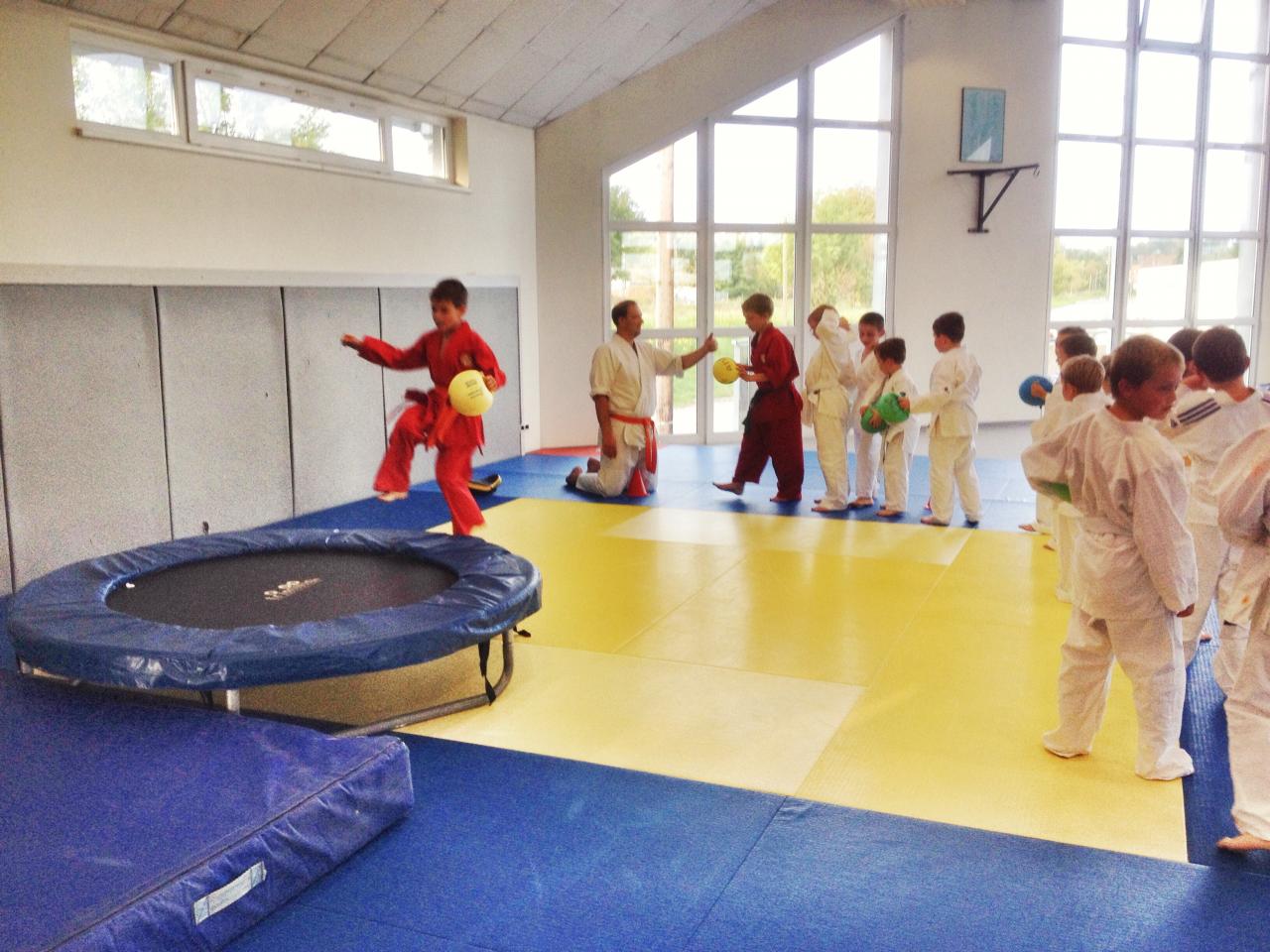 goshin judo aikido karate soufflenheim betschdorf 092