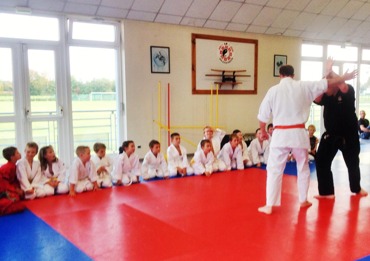 goshin judo aikido karate soufflenheim betschdorf 099