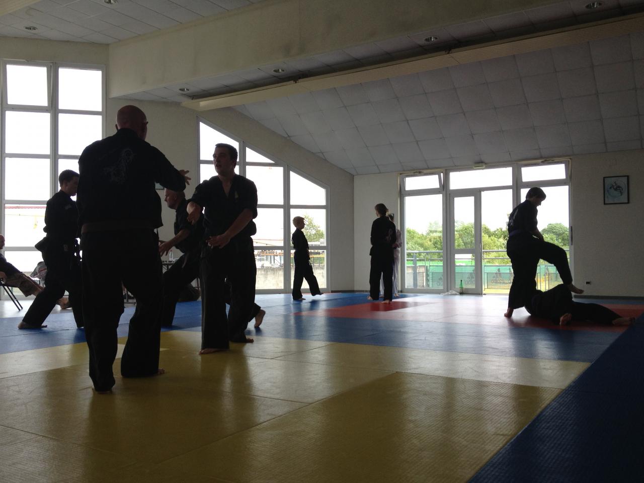 goshin system judo karate aikido_2204