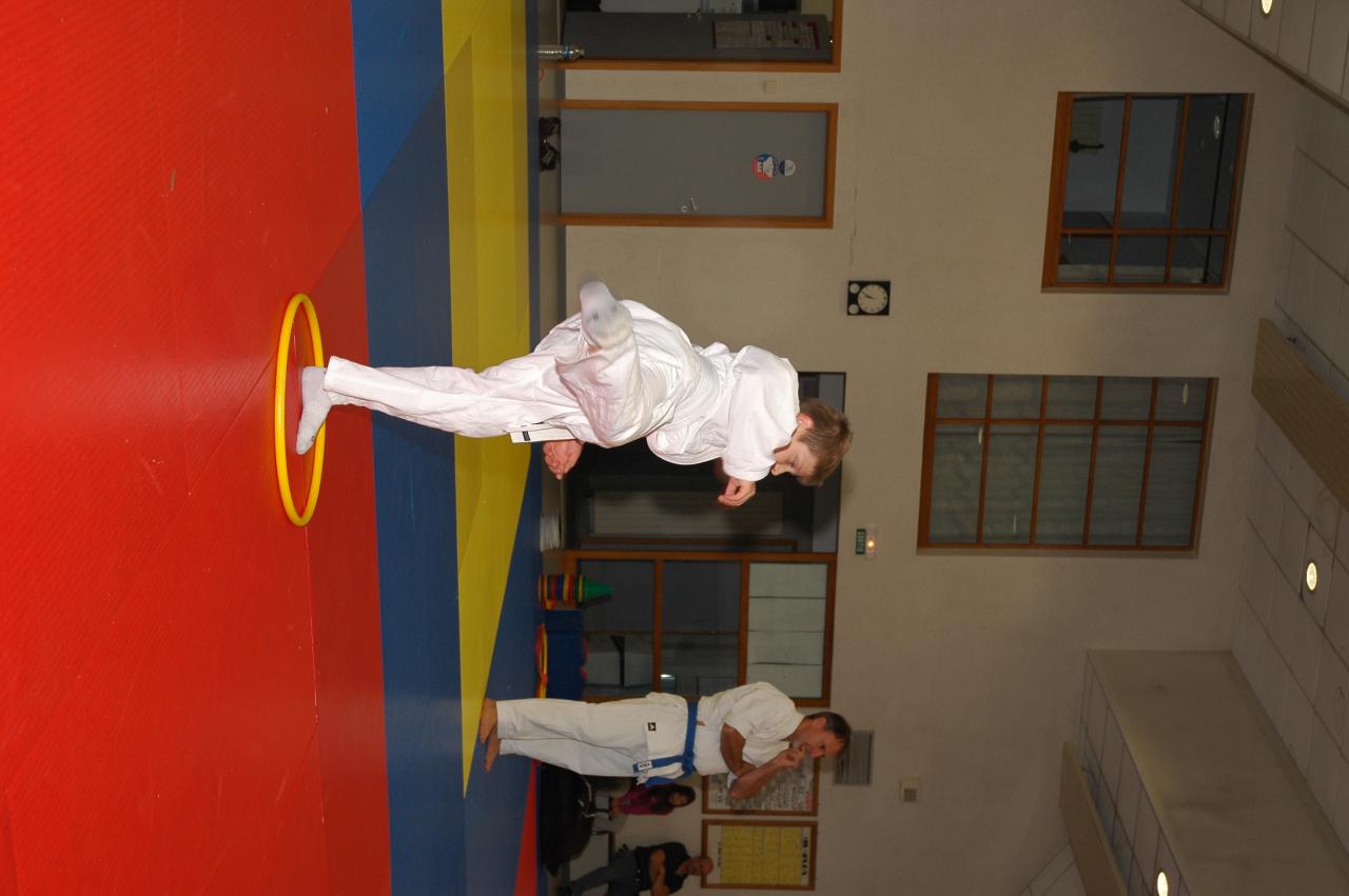 goshin_systeme_10