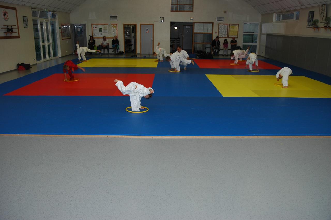 goshin_systeme_14