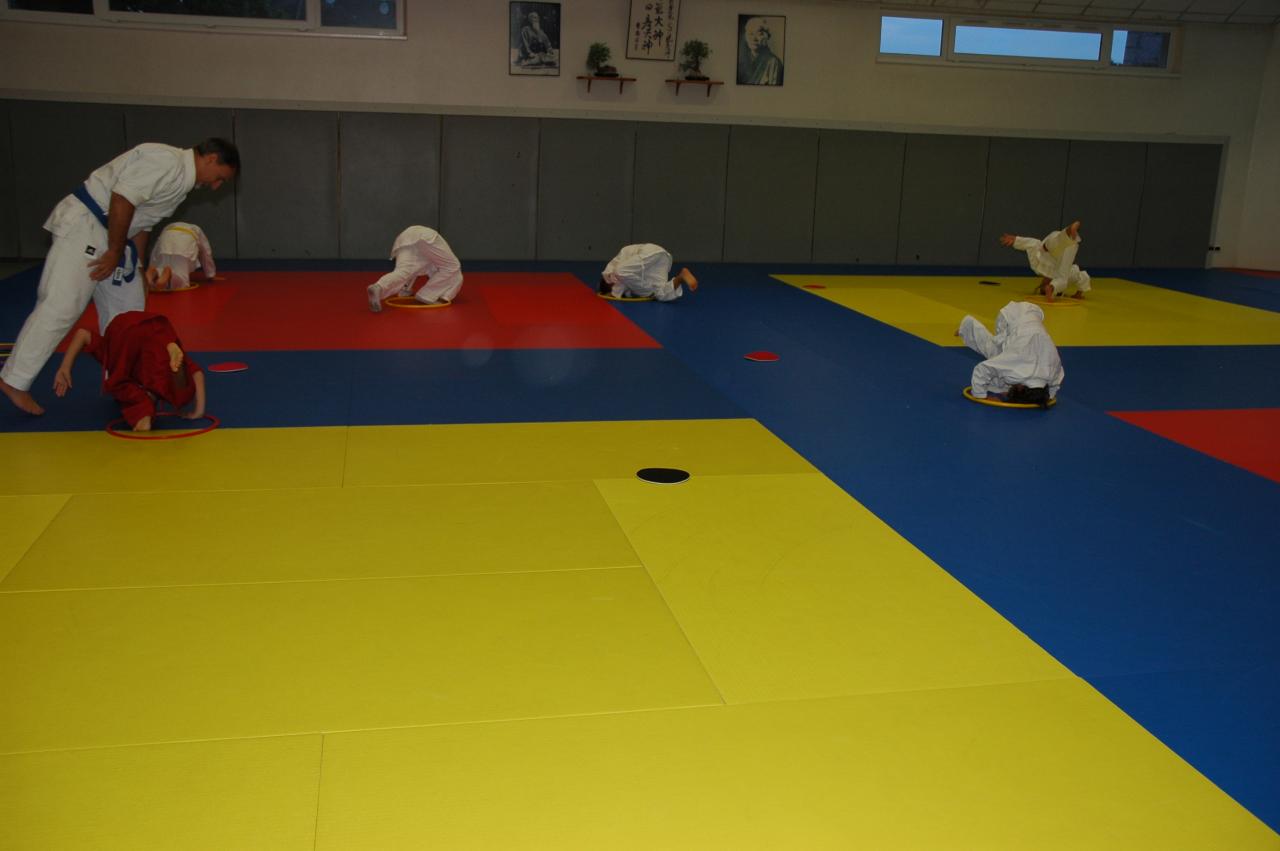 goshin_systeme_18