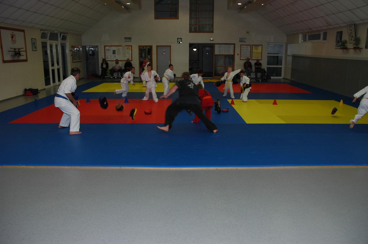 goshin_systeme_43