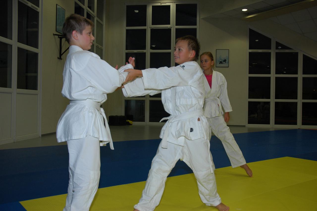 goshin_systeme_56