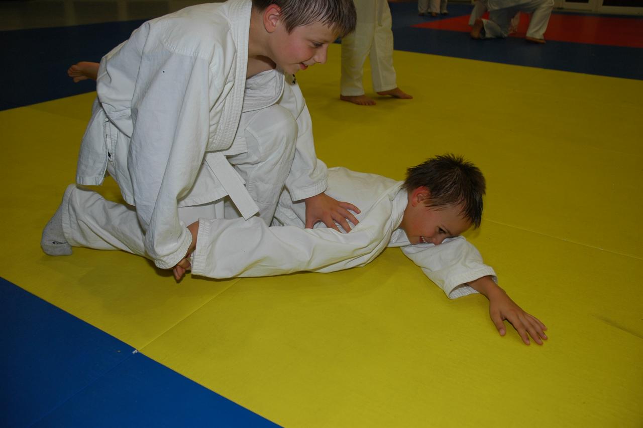 goshin_systeme_58