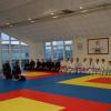 Stage Goshin-Système avec Renshi Nicolas Rude
