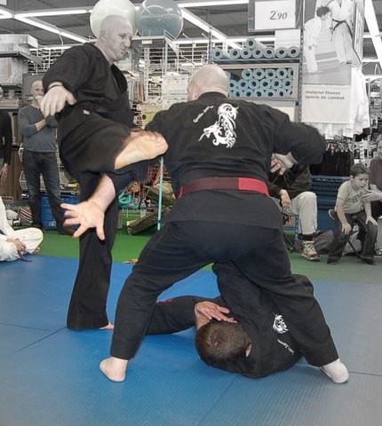 Demonstration des Arts Martiaux Rhénans à Haguenau