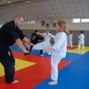 Stage Goshin-Système avec Renshi Nicolas Rude