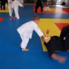 Stage Goshin-Système avec Renshi Nicolas Rude