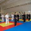 Stage Goshin-Système avec Renshi Nicolas Rude