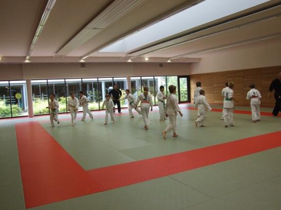 passage de grade de la section Goshin Système des Arts Martiaux Rhénans de Soufflenheim et Drusneheim