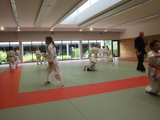 passage de grade de la section Goshin Système des Arts Martiaux Rhénans de Soufflenheim et Drusneheim