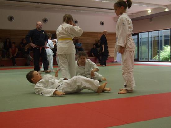 passage de grade de la section Goshin Système des Arts Martiaux Rhénans de Soufflenheim et Drusneheim