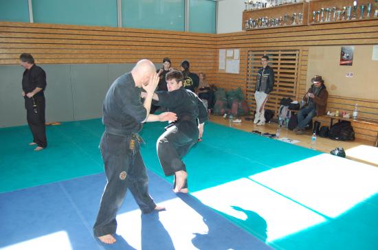 lors du stage goshin-systeme exclusif à Rumilly (74)