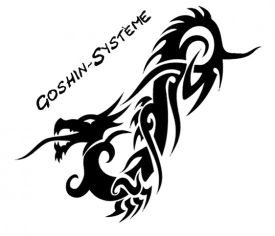 Logo de la section Goschin-Système