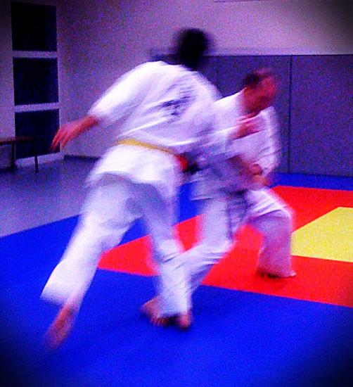 Cours de Goshin-Système du 14 janvier 2011