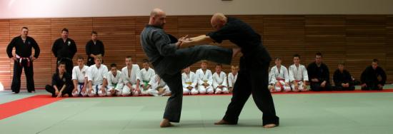 au dojo de Drusenheim (au Gabion - direction le Rhin)