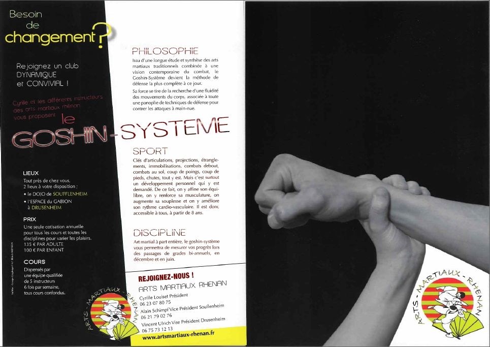 Flyer Goshin-Système