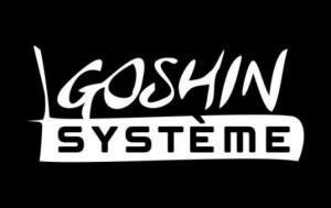 logo goshin systeme