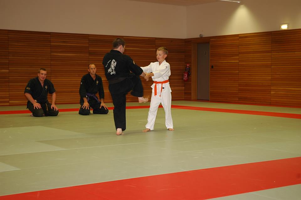 judo aikido karate drusenheim 02