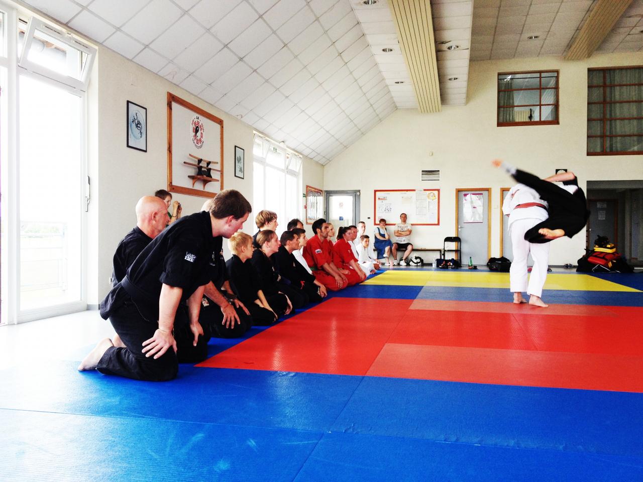 judo aikido karate ju jitsu mma boxe sport enfants defense_2213