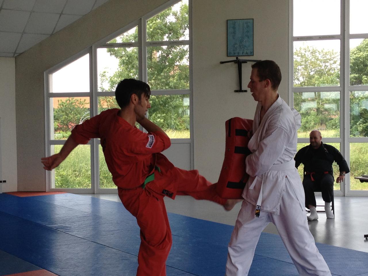 judo Drusenheim Haguenau soufflenheim_2155