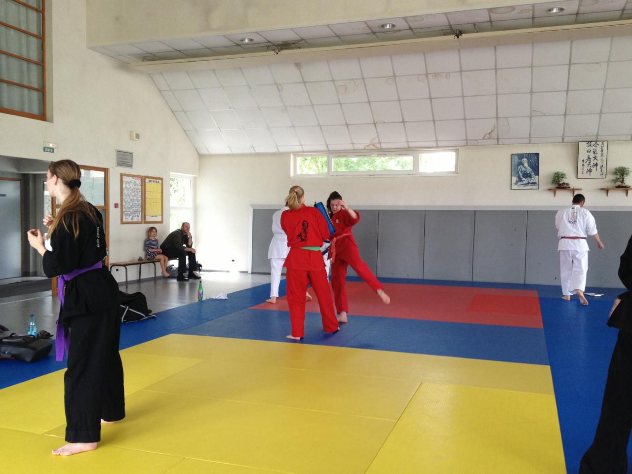 judo Drusenheim Haguenau soufflenheim_2160