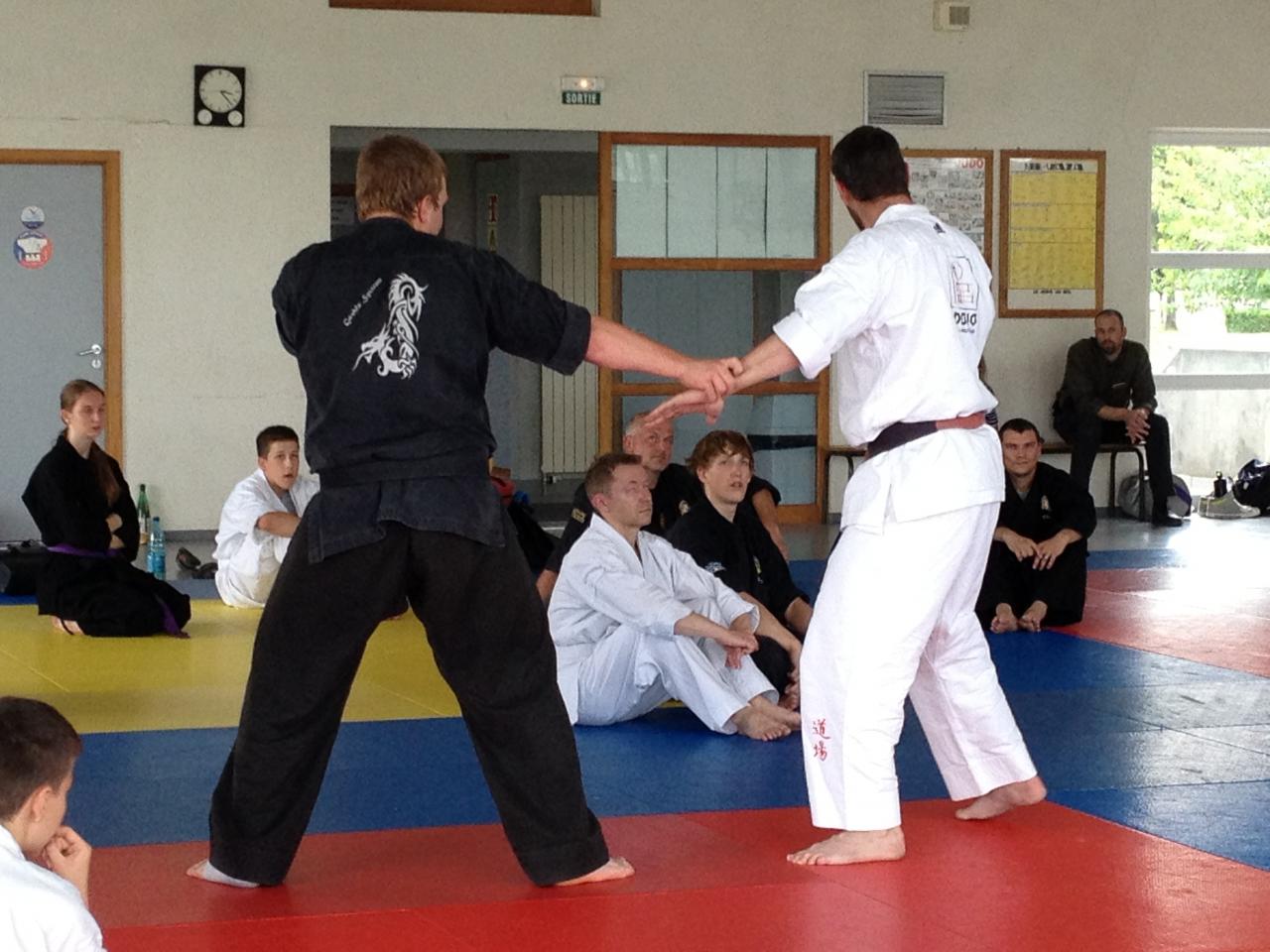 judo Drusenheim Haguenau soufflenheim_2189