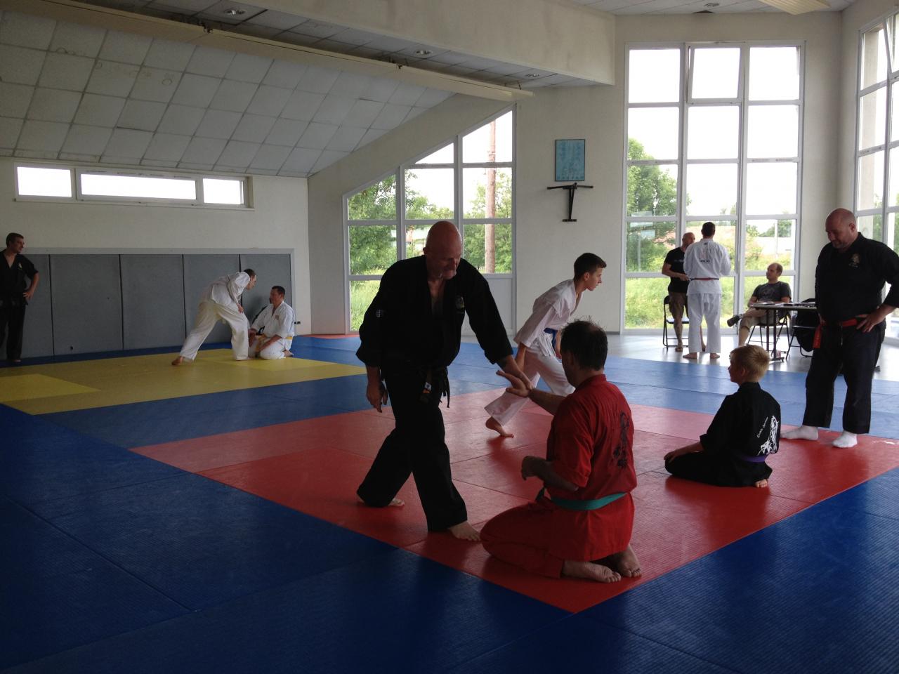 judo Drusenheim Haguenau soufflenheim_2192