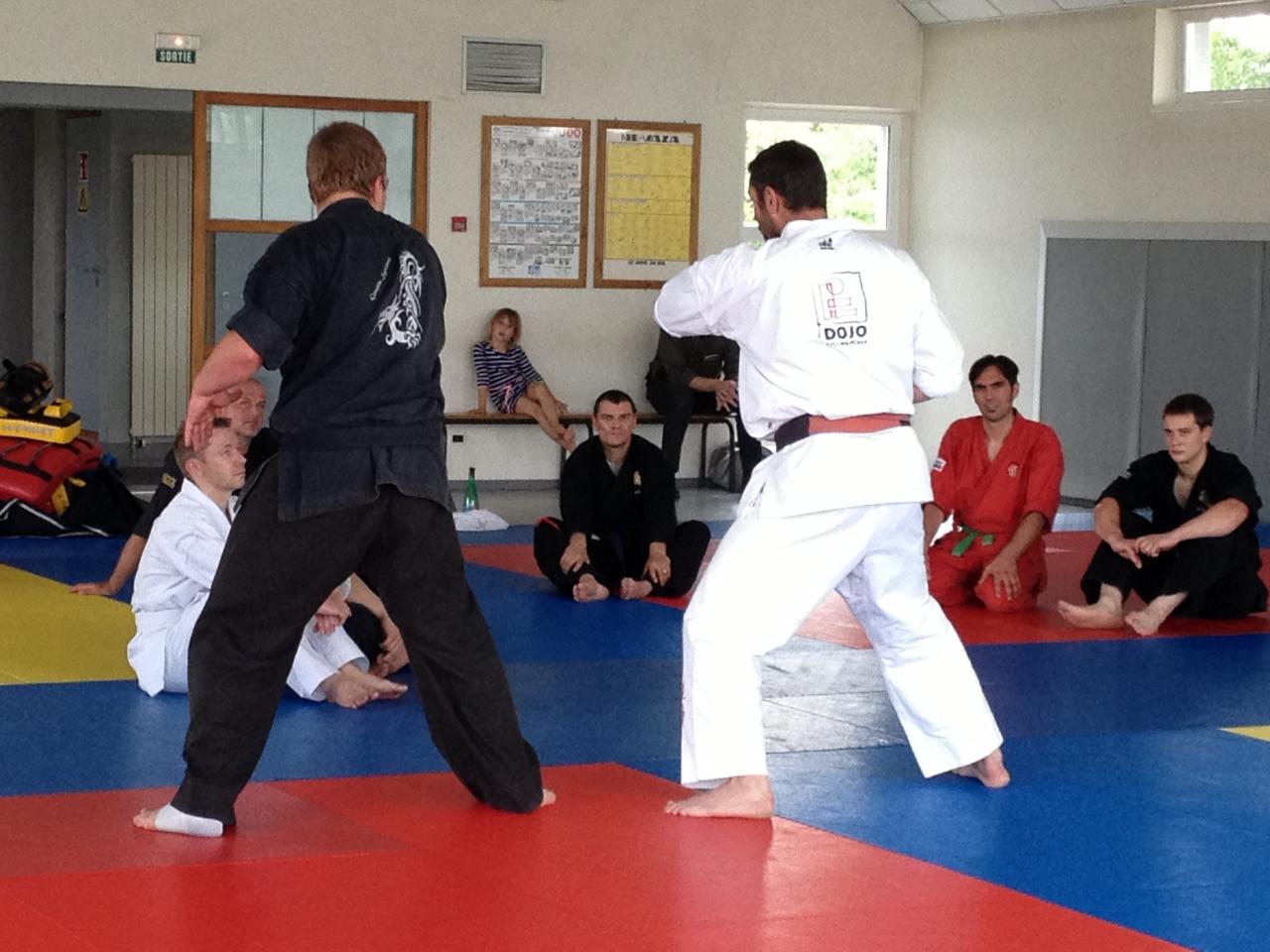 judo karate aikido arts martiaux_2187