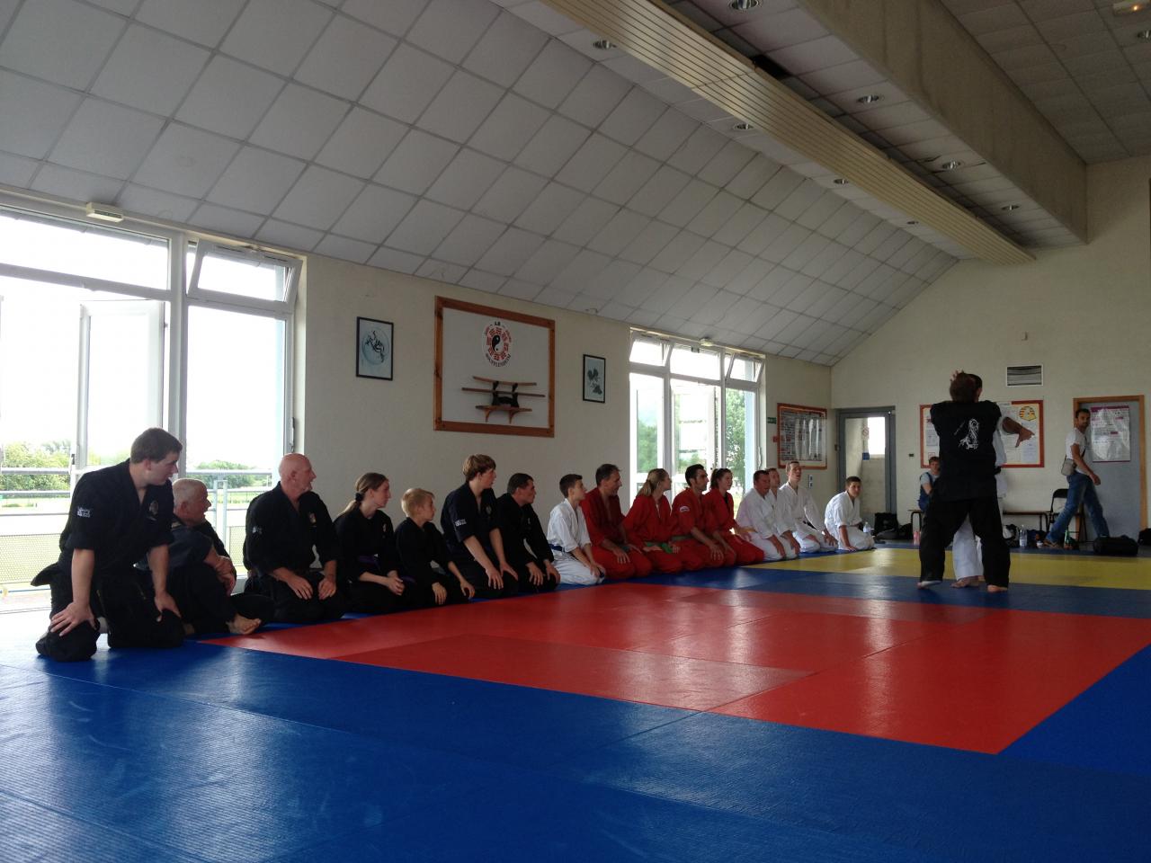 karate ju jitsu mma boxe sport enfants defense_2203