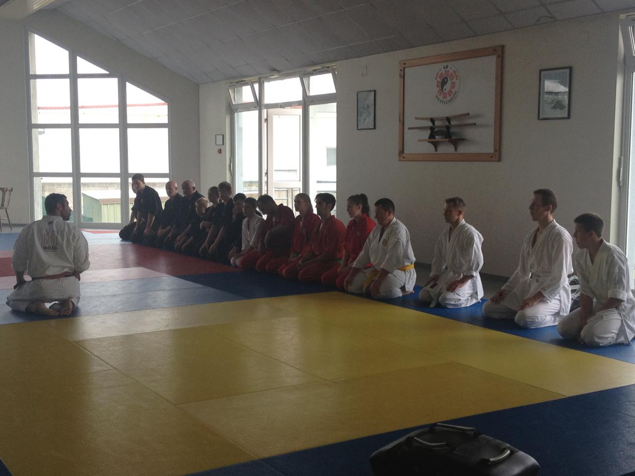 karate viet vo dao_2198