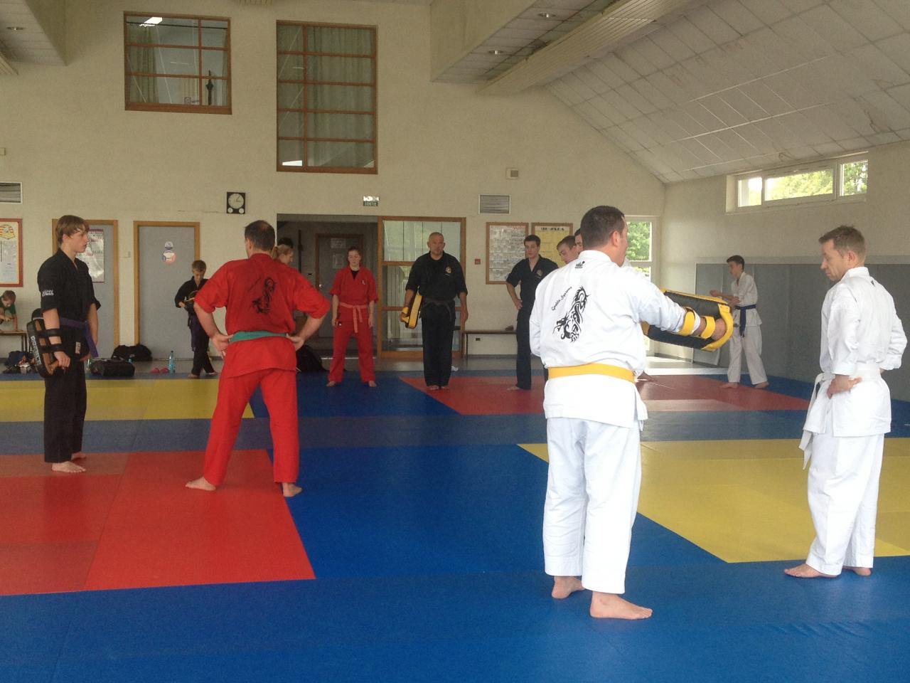 mma boxe sport enfants defense_2145