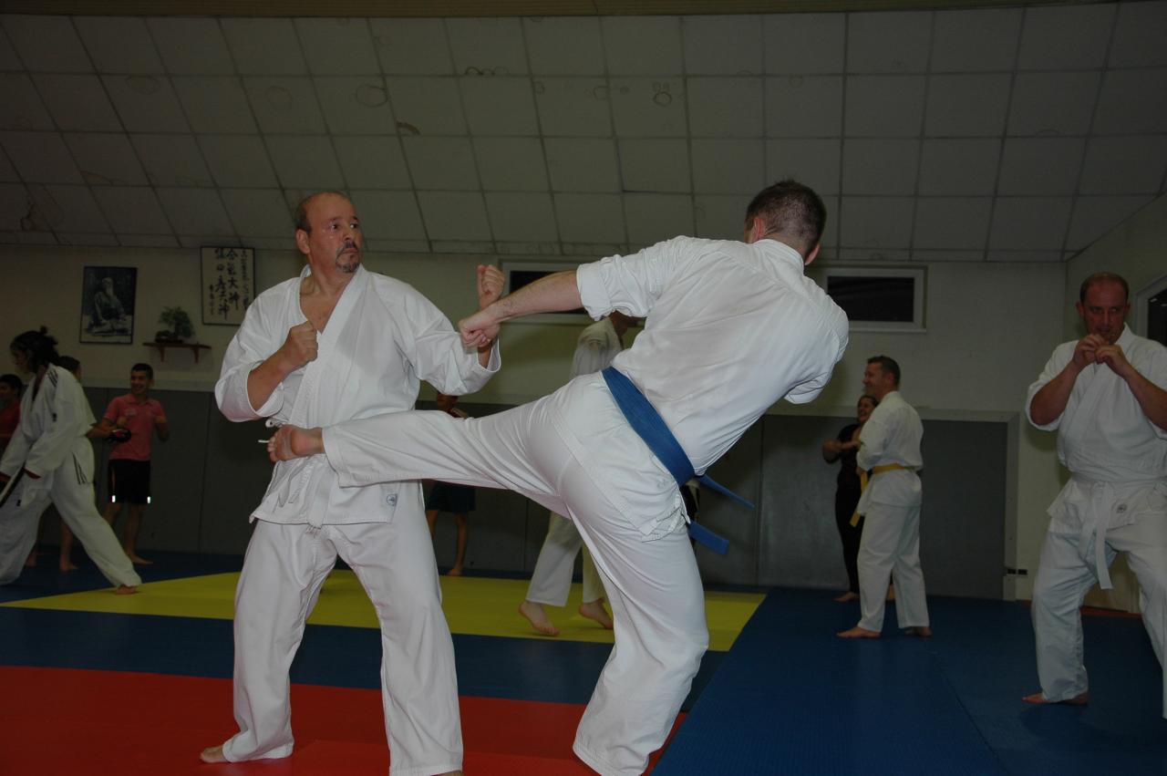 stagekarate_030