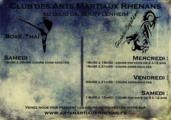 2015 2016 bannie re arts martiaux soufflenheim horaires 00