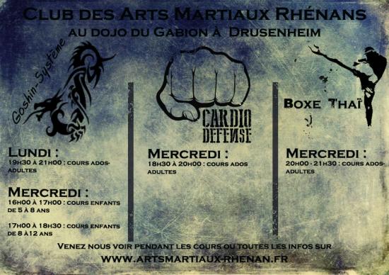 2016 2017 banniere arts martiaux drusenheim horaires 1